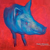 Il Nostro Disco Che Suona