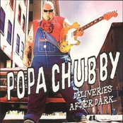 You Never Loved Me by Popa Chubby