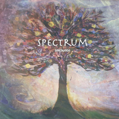 Spectrum