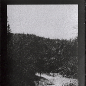 Today Is The Clearest Stream