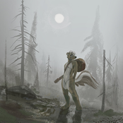 Disciple of the Cypresses