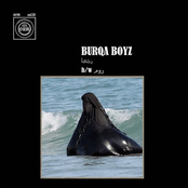 أكثر b/w مور‎