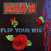 Flip Your Wig Album Picture