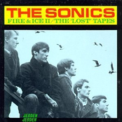 Near My Soul by The Sonics