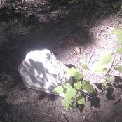 Work in Progress 2013