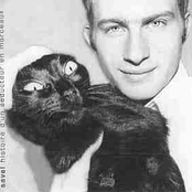 Histoire D'un Séducteur En Morceaux