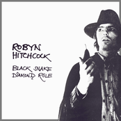 Robyn Hitchcock: Black Snake Diamond Role