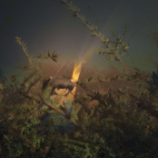 heaven to forgetters