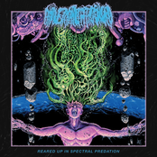 Reared Up in Spectral Predation CD/LP/TAPE