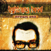 Studio Don One by Lightning Head