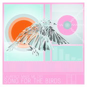 Song For The Birds