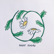 daisy fields