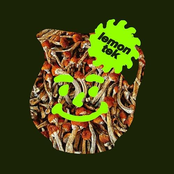 Lemon Tek