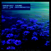 Into The Groundwater