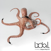 Calypso Bay E.P.