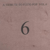 a tribute to flexi-pop vol. 6