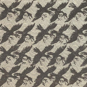 The Gascoigne Observatory