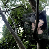 Cartas de Amor para a Minha Janela