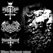 Where Darkness Reigns