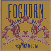 Turkey Tracks by Foghorn Stringband