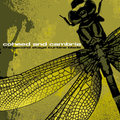 Time Consumer by Coheed And Cambria