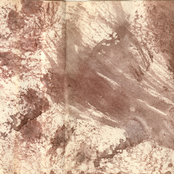 Goddamn Bloody-nosed Cocaine Blues