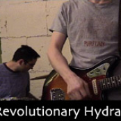 the revolutionary hydra