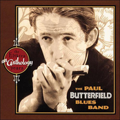 Off The Wall by The Paul Butterfield Blues Band