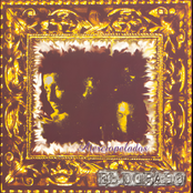 Aterciopelados: El Dorado