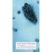 IN FOREST / Lhasa (unplugged)