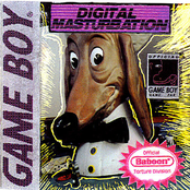 Digital Masturbation