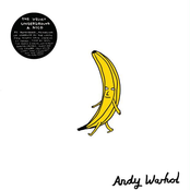 Castle Face and Friends – The Velvet Underground & Nico