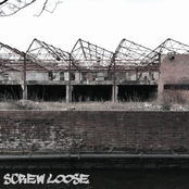 Screw Loose