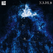 Skin Like Iron / Nails