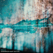 Experienced Many Battles (Naruto Shippuden)