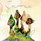 Kywitt! Kywitt! by Caprice