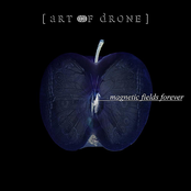 Magnetic Fields Forever