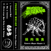 Extorris Magus Chapter II