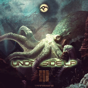 Underside LP 3