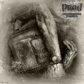 Metamorphosing Frequency