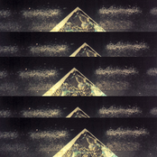 well, the light was right