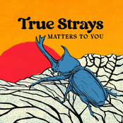 Matters To You EP