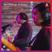 See Through Dresses on Audiotree Live