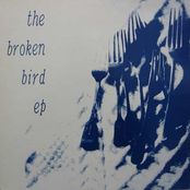 The Broken Bird