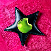 The Dutch Kills: The Rot