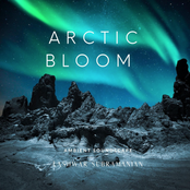 Arctic Bloom