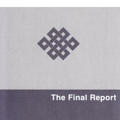 The final report
