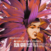 Anahata: Natural Born Chillers
