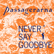 Never Say Goodbye