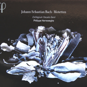 Bach: Motetten